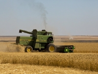 Combining at Facette Farm © Don Brown. Prints available for sale.