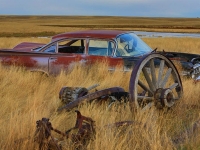 Old Stuff © Don Brown. Prints available for sale.