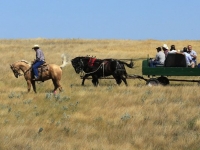 Wagon Rides at Grasslands National Park Campground Opening. © Don Brown. Prints available for sale.