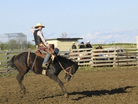 Rodeo  © Don Brown. Prints available for sale.